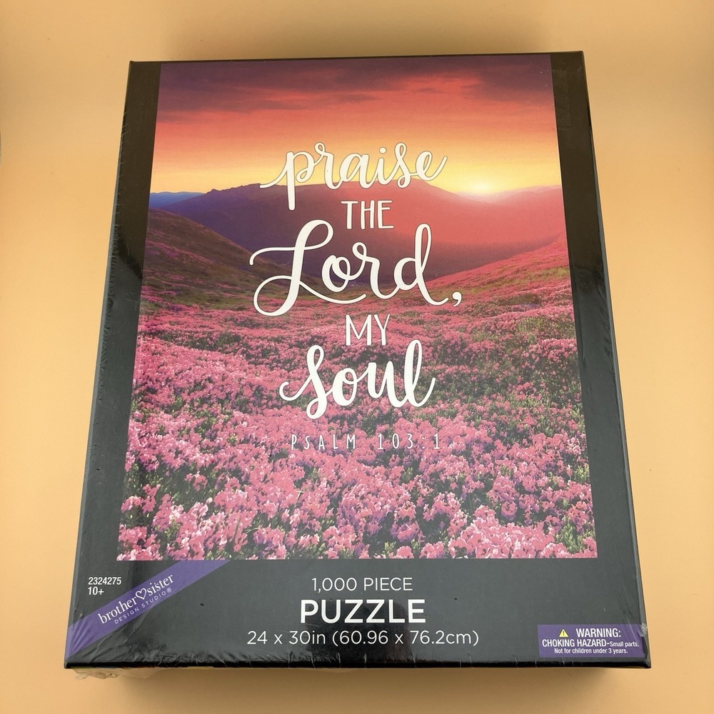NEW Brother Sister Design Studio 1000 Pcs Jigsaw Puzzle Praise The Lord RELIGOUS